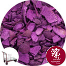 Coloured Sea Shells - Royal Purple - Collect